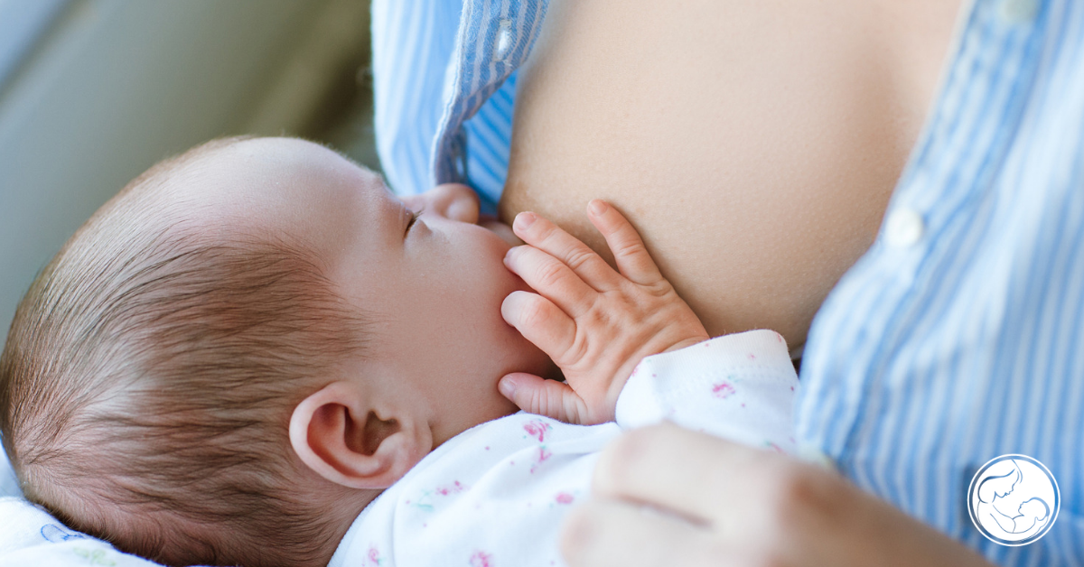 Breastfeeding - Pregnancy